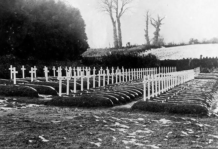 १९१९ मार्च ८ को तस्विर । स्पेनिस फ्लूबाट मृत्यु भएका अमेरिकी सैनिकको अन्त्येष्टि गरिएको ठाउँ ।